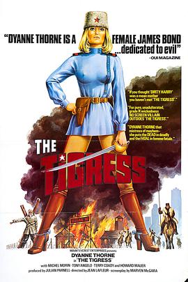 传奇短剧海报剧照